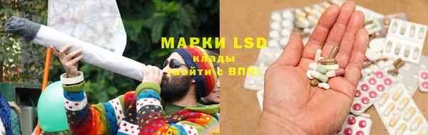 гашик Алзамай