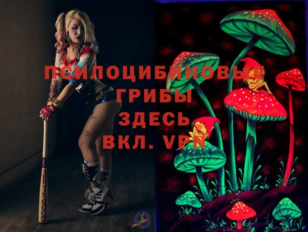 гашик Алзамай