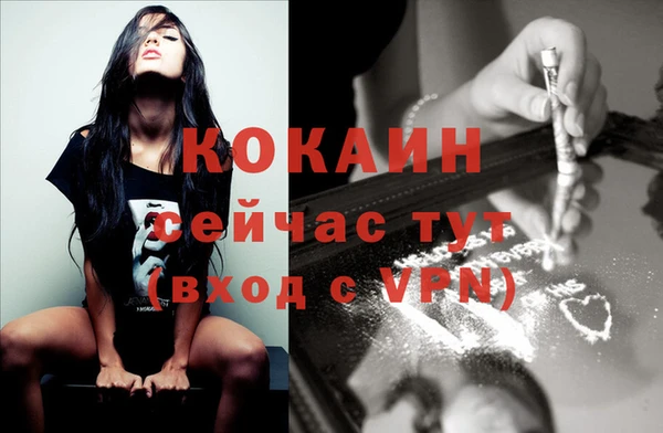 кокс Алексин