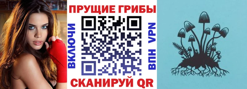 цена   Дзержинск  Псилоцибиновые грибы мицелий 